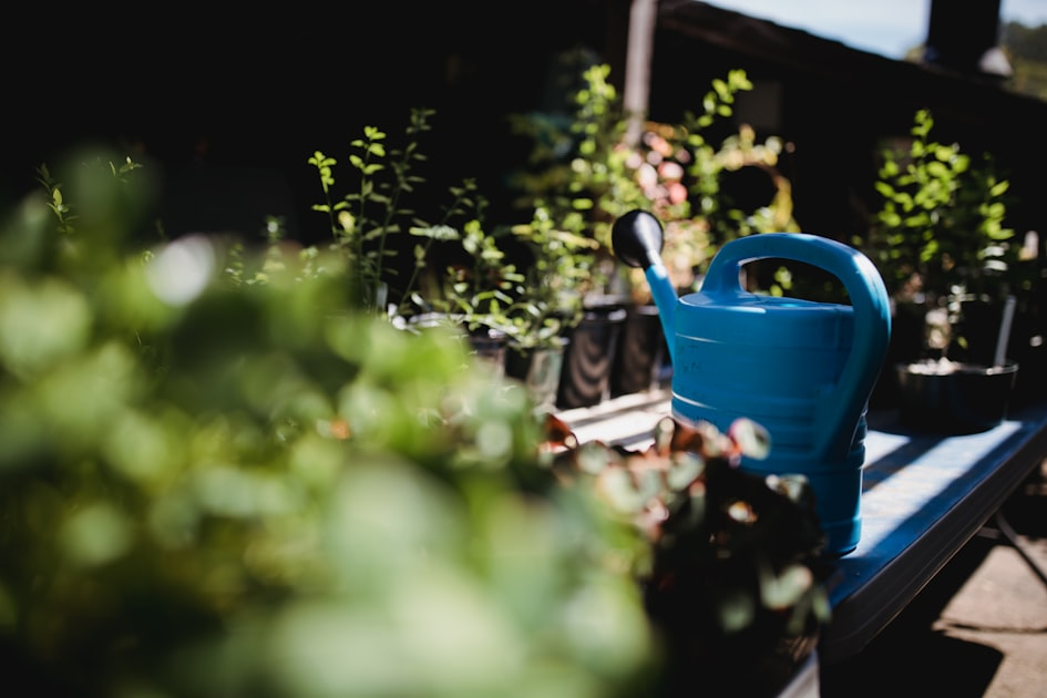 How to Create a Beautiful Flower Garden