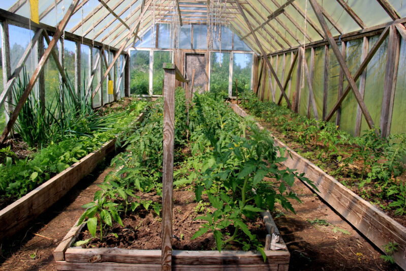 Greenhouse to Start Your Seedlings in the Spring