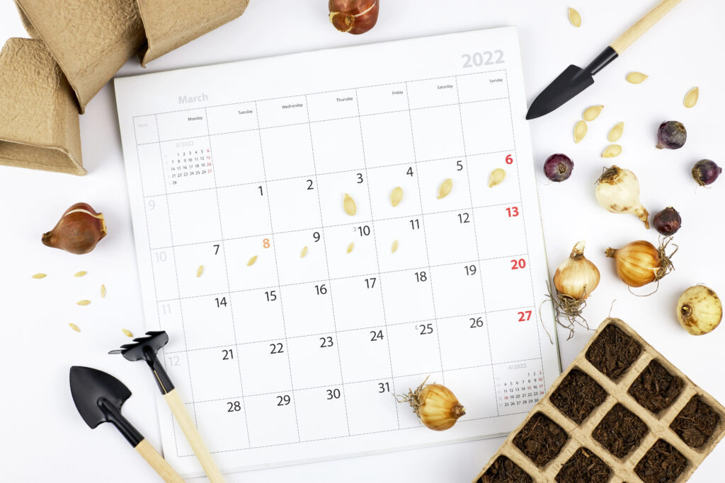 Planning Calendar to Start Your Seedlings in the Spring Successfully