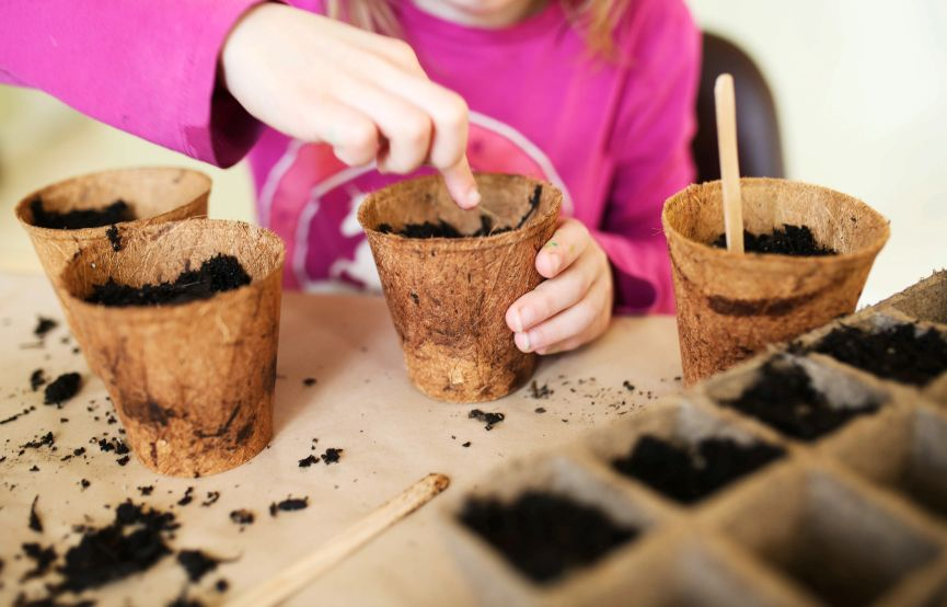 Planting Containers to Successfully Start Your Seedlings in the Spring