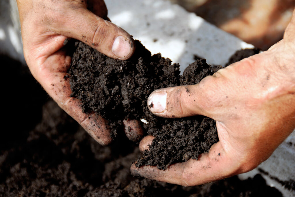 Planting Soil to Start Your Seedlings in the Spring