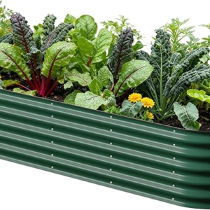 Vego garden Raised Garden Bed Kits, 17