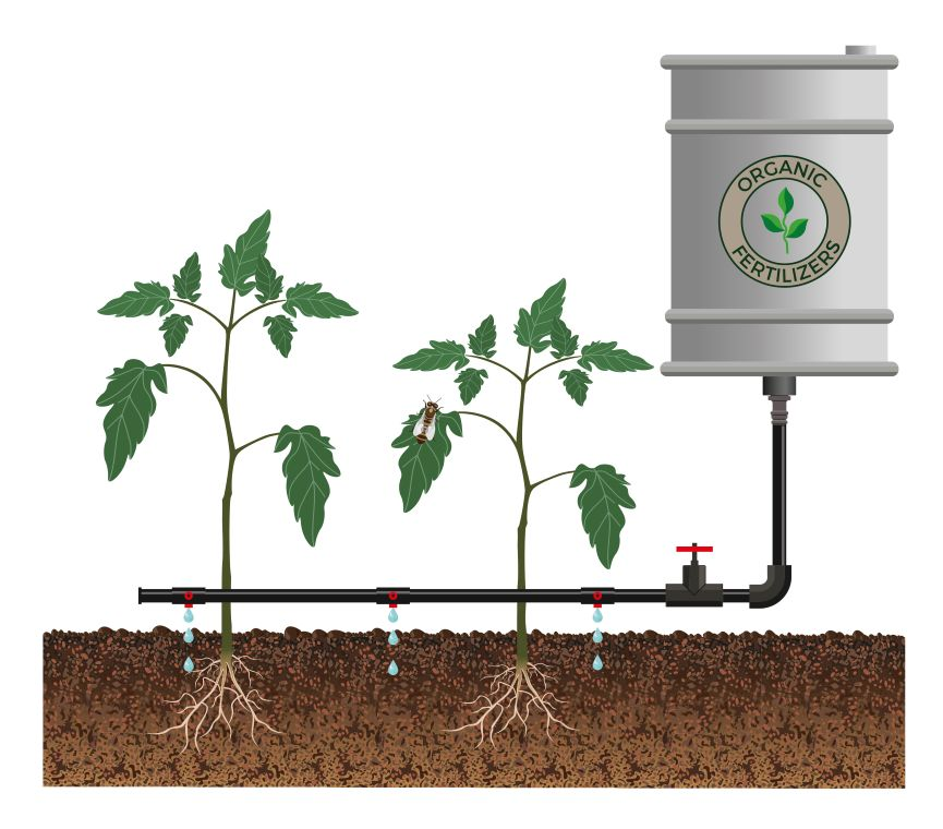 Basic Concept of A Modern Drip Irrigation for the Garden Including Fertilizer