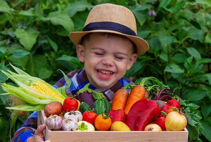Kids harvesting vegetables from home garden.