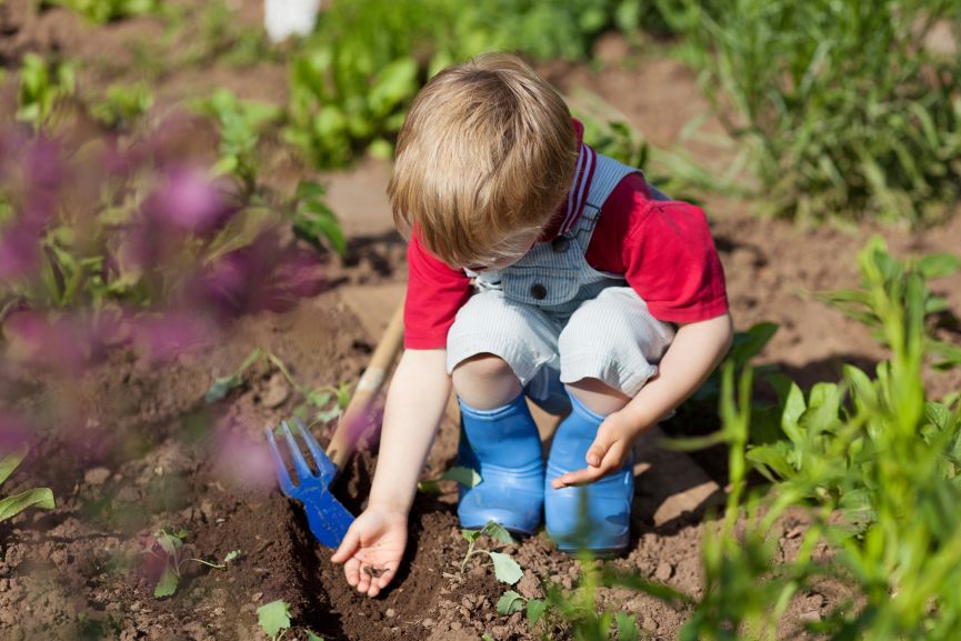 benefits of gardening for kids planting seeds