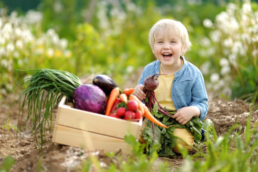 Kid Enjoying Time Spent in a Vegetable Garden