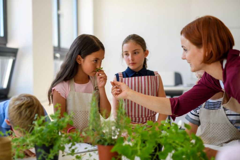 School gardening activities for children learning about plants