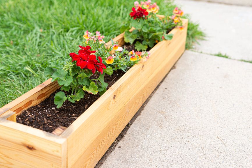 Reviewing the Best Gardening Planter for the Garden