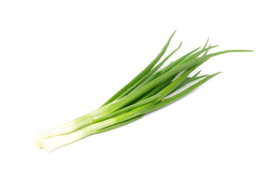 Growing green Onions versus Growing Shallots