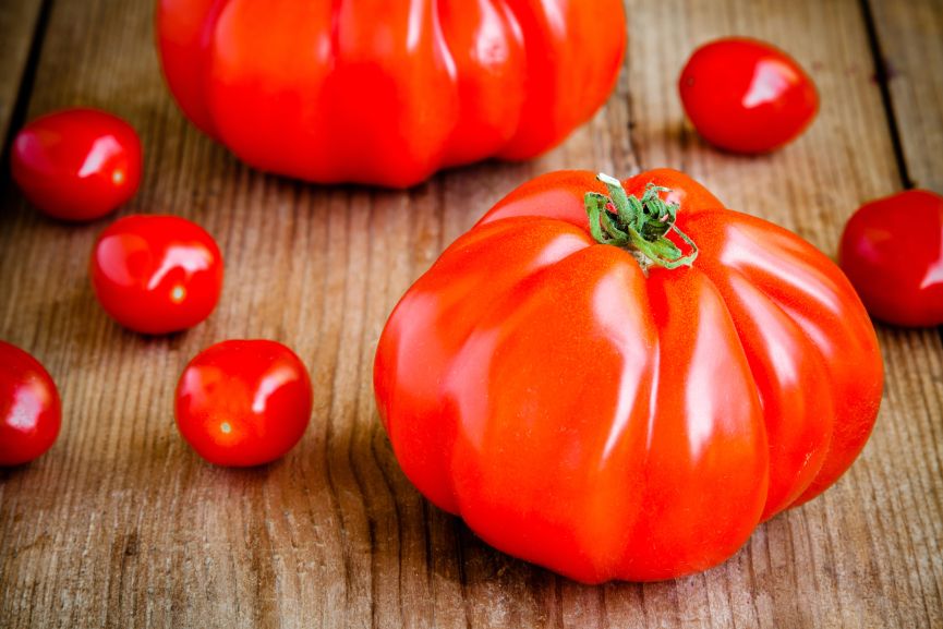 growing Your Tomato Plants With Heirloom Tomatoes