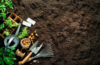 When to Plant a Garden in the Spring