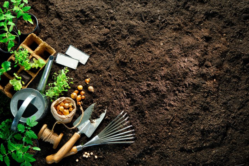 When to Plant a Garden in the Spring