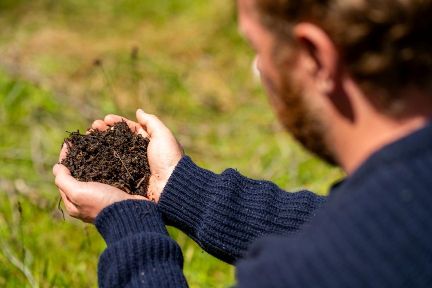 Plant and soil agronomy by a farmer in a field on a farm