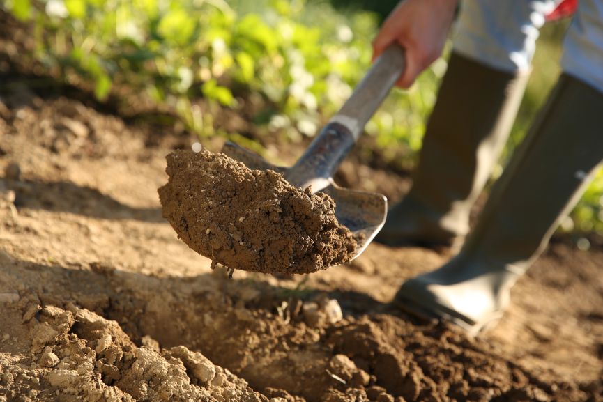 Preparing the soil in Spring will greatly help your plants to grow.
