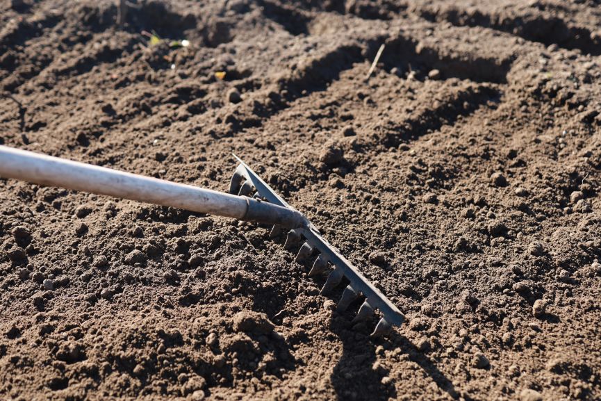 Raking the soil after tilling will level the soil nicely