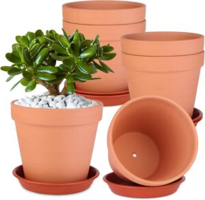 Terracotta Planter for Gardening