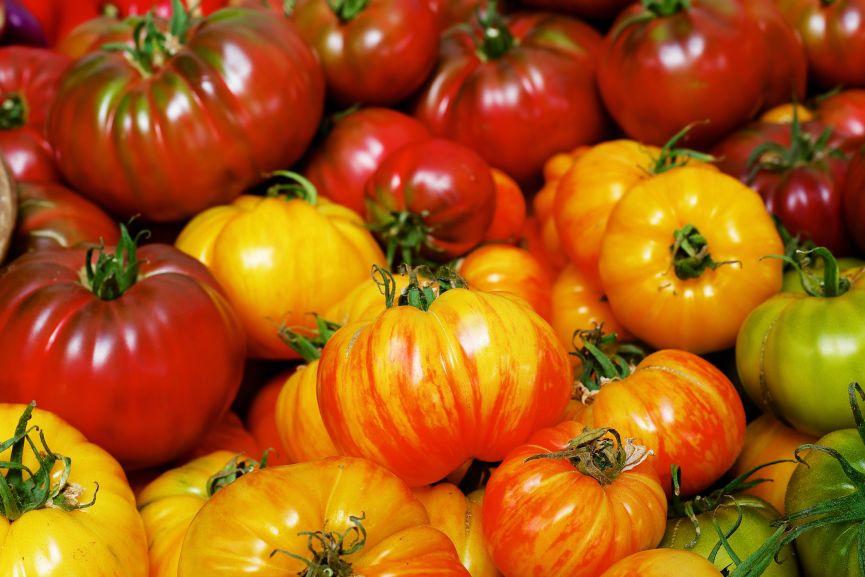 Growing your Own Tomatoes the Right Way