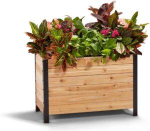 Cedar Wood Planter for the Garden