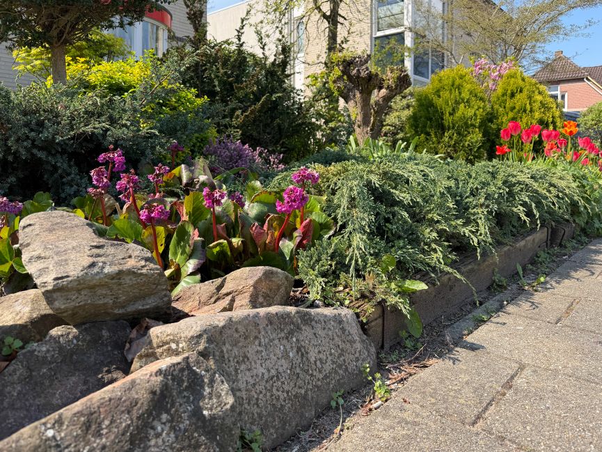 Best Flowers to Decorate your Backyard with Natural Edging Stones
