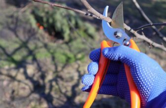 How to Prune Spring Perennials Properly and with the Right Tools