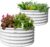ANLEOLIFE 2-Pack 4ft x 18” Tall Round Outdoor Galvanized Raised Garden Beds – Antique White