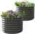 A ANLEOLIFE 2-Pack 3ft x 24” Tall Galvanized Raised Garden Beds Outdoor, Round Metal Planter Box for Planting Vegetables Flowers Herb, Anti-Rust & Easy-Setup, Quartz Grey