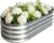 Galvanized Raised Garden Bed Outdoor, Large Raised Bed for Gardening, 4x2x1ft Metal Planter Box for Vegetables, Fruits, Flowers, Easy Assembly with Wing Nuts & Safe Rolled Design, Silver