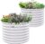 A ANLEOLIFE 2-Pack 3ft x 24” Tall Galvanized Raised Garden Beds Outdoor, Round Metal Planter Box for Planting Vegetables Flowers Herb, Anti-Rust & Easy-Setup, Antique White