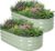 Galvanized Raised Garden Bed – 4×2×1ft (2 Packs) Planter Raised Beds for Gardening | Oval Metal Garden Planter Box with Safety Edging and Gloves for Vegetables Fruits Flower – AvocadoGreen