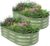 Galvanized Raised Garden Bed – 4×2×1ft (2 Packs) Planter Raised Beds for Gardening | Oval Metal Garden Planter Box with Safety Edging and Gloves for Vegetables Fruits and Flower OliveGreen