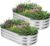 Galvanized Raised Garden Bed – 4×2×1ft (2 Packs) Planter Raised Beds for Gardening | Oval Metal Garden Planter Box with Safety Edging and Gloves for Vegetables Fruits and Flower – Silver