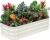1MORE Raised Garden Bed – 4X2X1 Galvanized Planter Box for Outdoor Gardening and Planting, Ideal for Vegetables and Plants.White-1Pcak