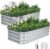 3 in 1 Rectangular Galvanized Raised Garden Bed- 4x2x1ft (2Packs) Modular Planter Box Outdoor – Plain Metal