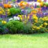 Gas Lawn Mowers vs Electric Lawn Mowers: A Complete 2026 Comparison Guide