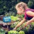Stay Organized and Save Your Back – Best Garden Planters for Every Outdoor Space 🌿