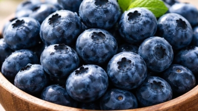 How to Grow Blueberries: The Complete Guide to Planting, Care, and Harvesting