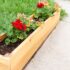 The Ultimate Guide to Growing Your Own Tomatoes