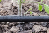 Modern Drip Irrigation for the Garden – Is it for Me?