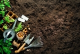 7 Signs of When to Start Planting a Garden
