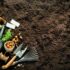 Preparing Garden Soil in the Spring: Complete Step-by-Step Guide