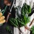 Top Gardening Tools for Every Gardener