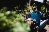 How to Create a Beautiful Flower Garden