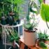 How to Create a Beautiful Flower Garden