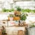 A Beginner’s Guide to Indoor Gardening